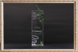 30屆國際名家具（東莞）展覽會15周年慶市場精英獎(jiǎng)